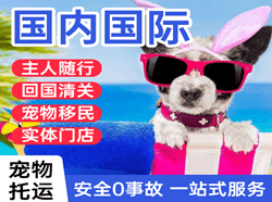 怀化芷江机场快运国际宠物托运 【国